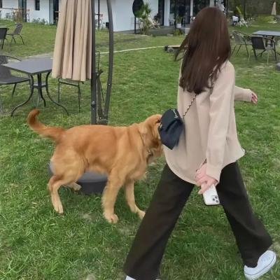 芳心谋杀案